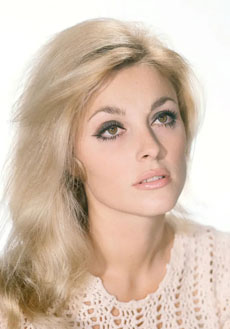 莎朗&middot;塔特